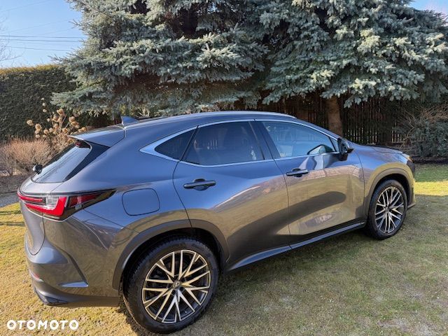 Lexus NX 450h+ Omotenashi AWD - 2