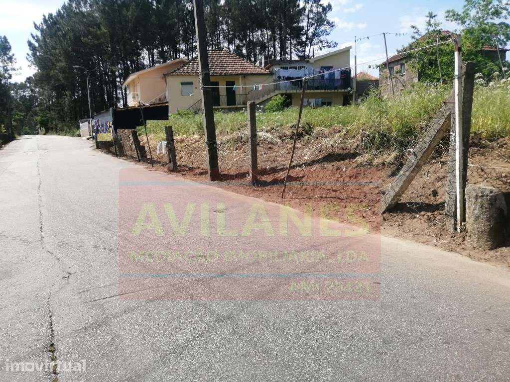 TERRENO P/ CONST. - LOBÃO - Grande imagem: 2/3