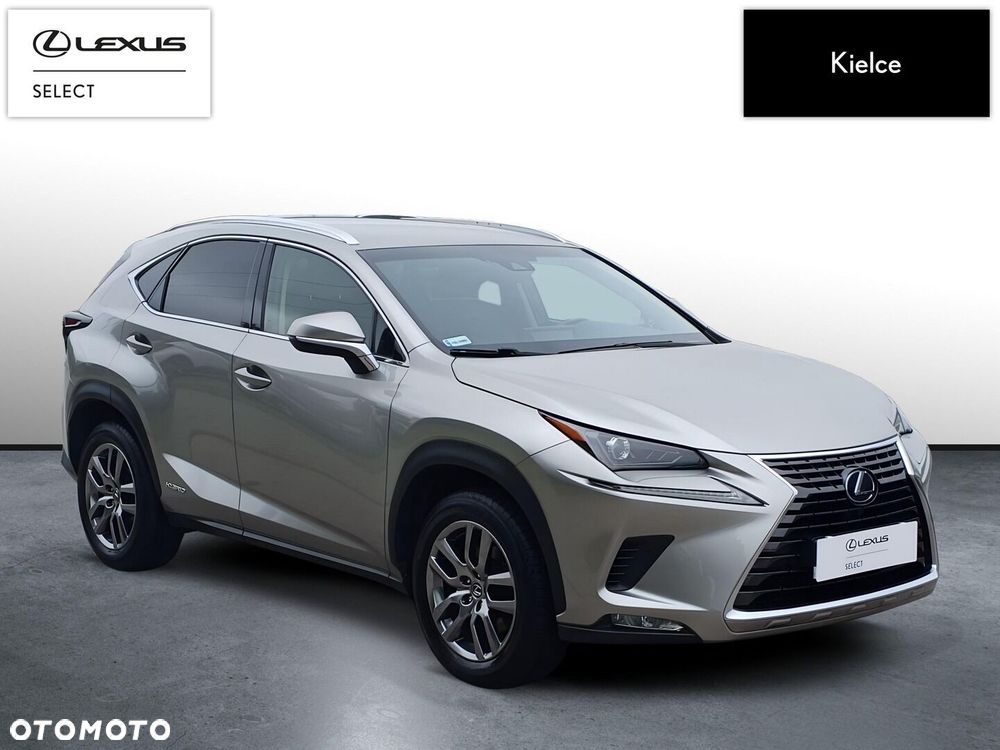 Lexus NX 300h Business Edition AWD - 8