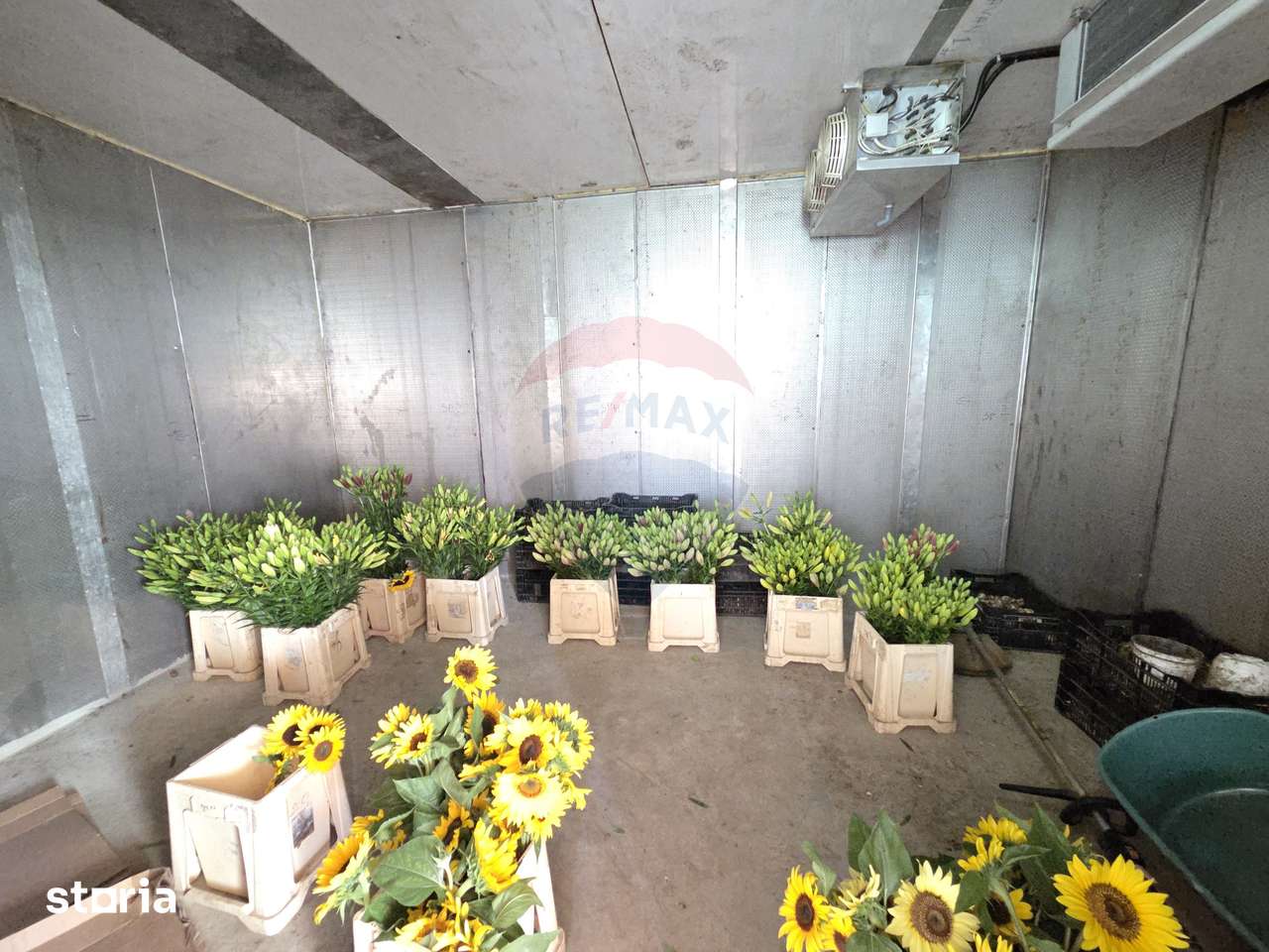 Proprietate 2.229 mp cu Dotări pentru Afacere Florală - Imagine principală: 3/16