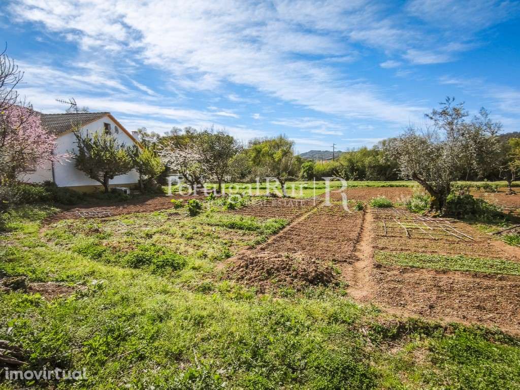 Quinta de 5.750 m² com Moradia T3 em Marvão - Grande imagem: 3/41