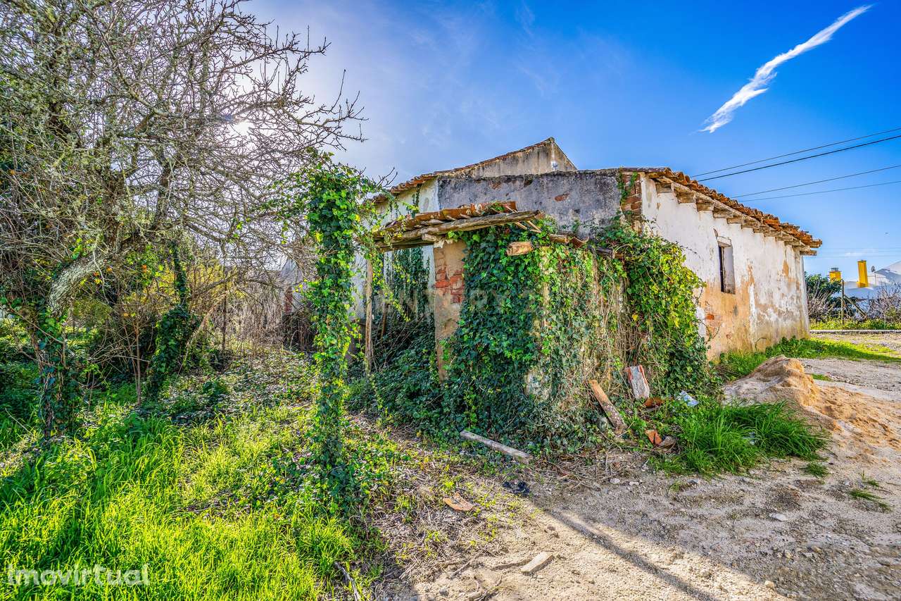 Ruina | Lagoa Parceira | Caldas da Rainha - Grande imagem: 3/18