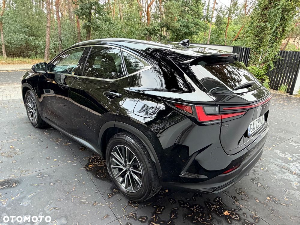Lexus NX 350h Business AWD - 11