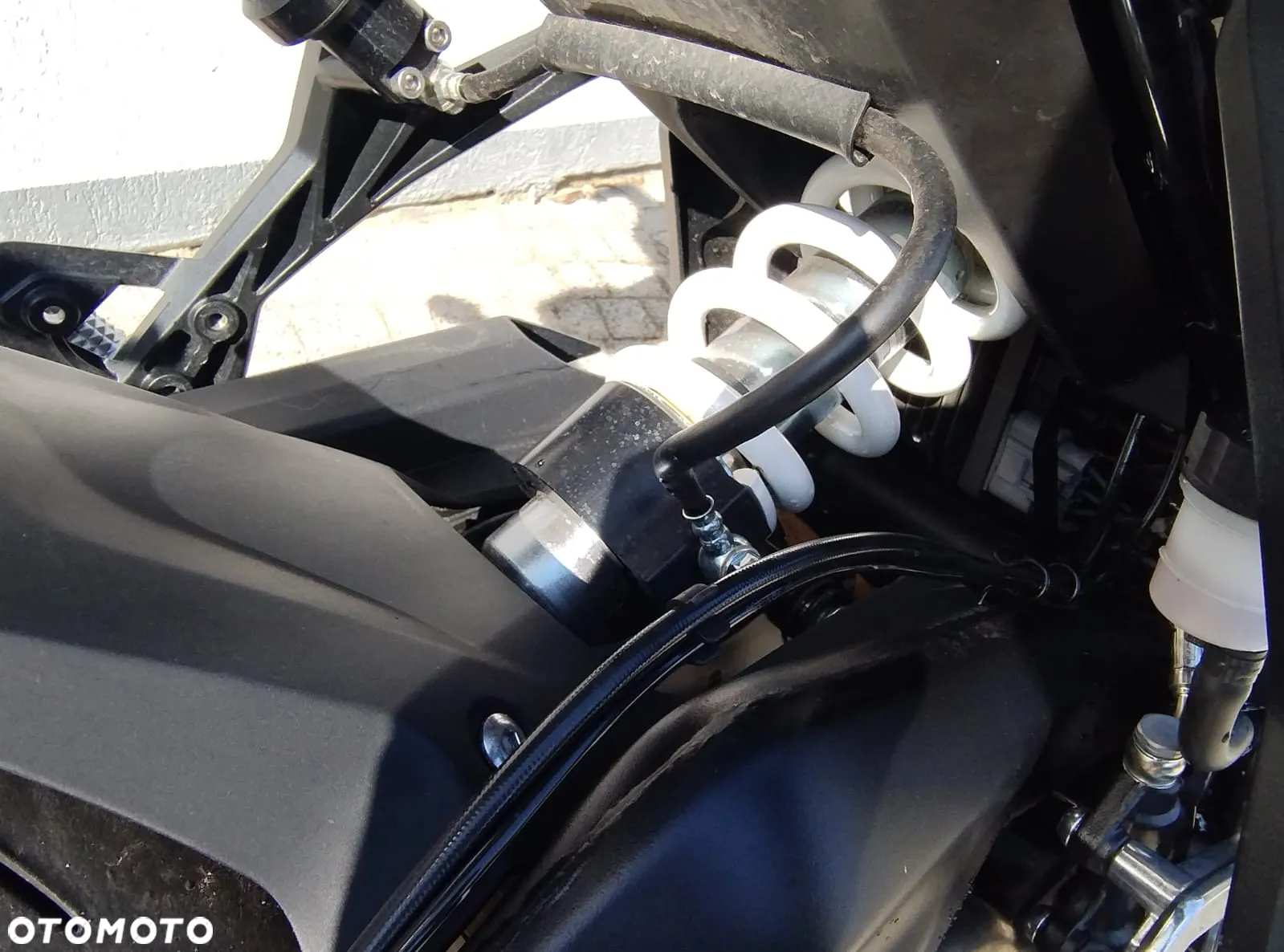Triumph Tiger - 18