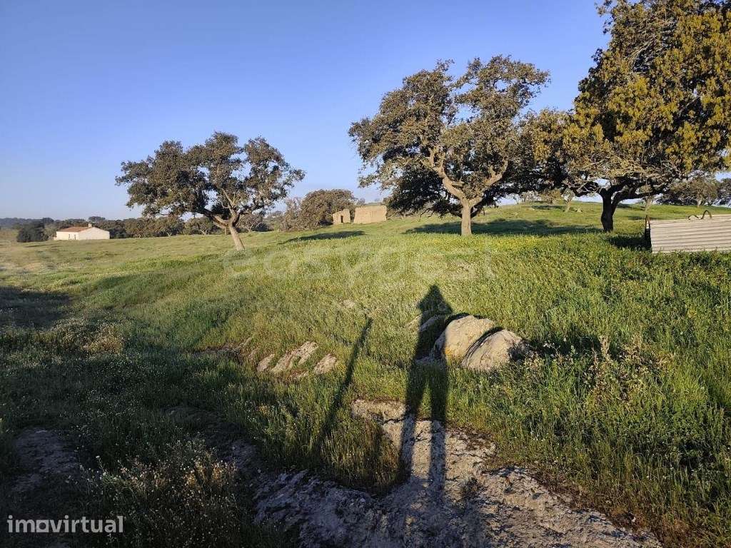 Monte alentejano com área total de 372.344,50 m² (cerca de 37 ha) - Grande imagem: 5/28