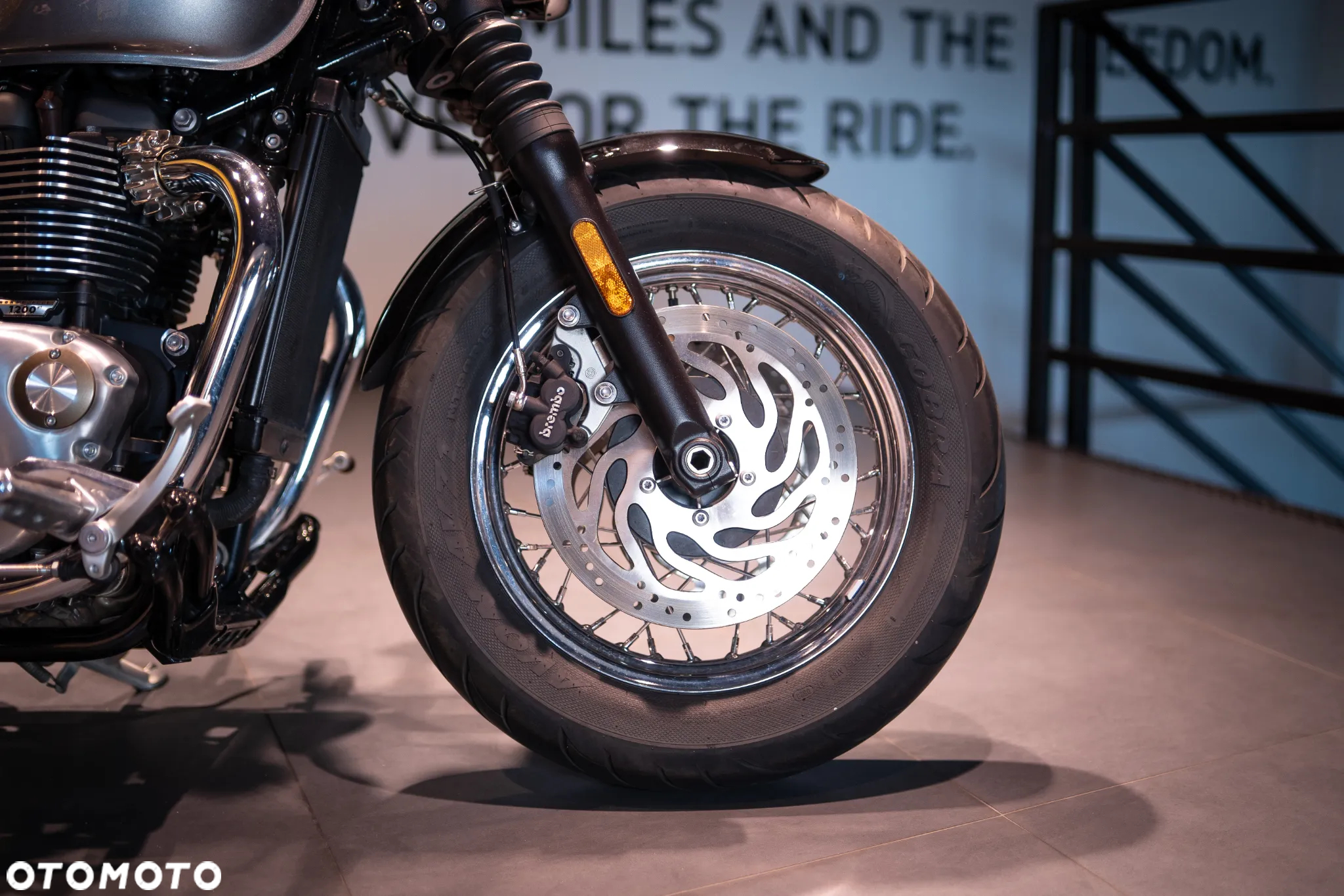 Triumph Speedmaster - 15