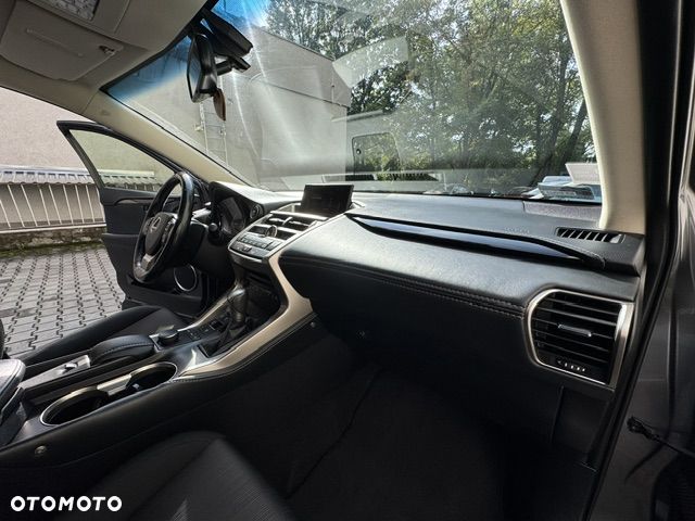 Lexus NX - 34
