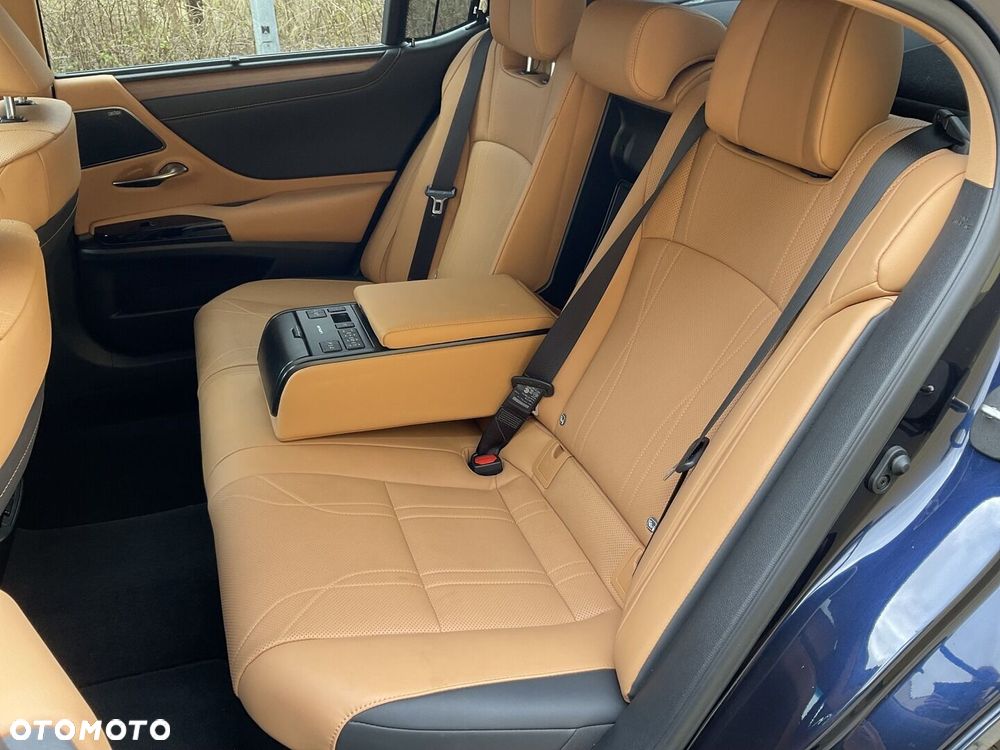 Lexus ES 300h Omotenashi - 16