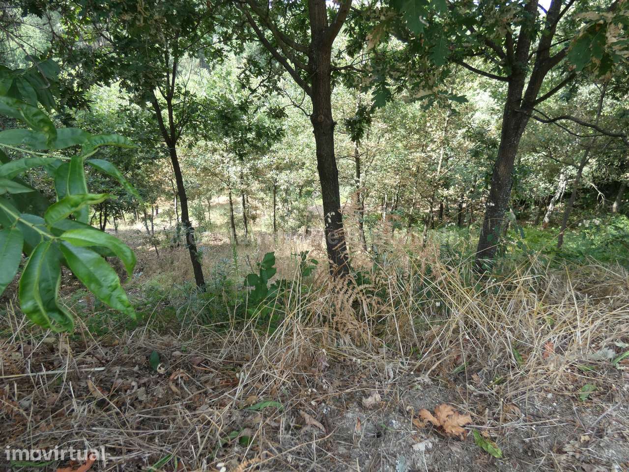 Terreno Para Construção  Venda em Seia, São Romão e Lapa dos Dinheiros - Grande imagem: 3/9