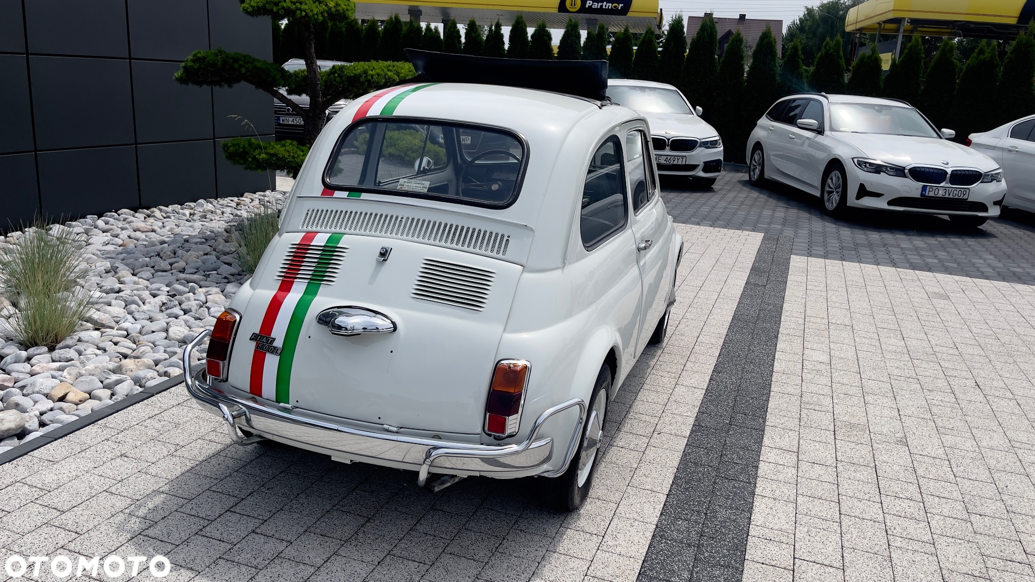 Fiat 500 - 25