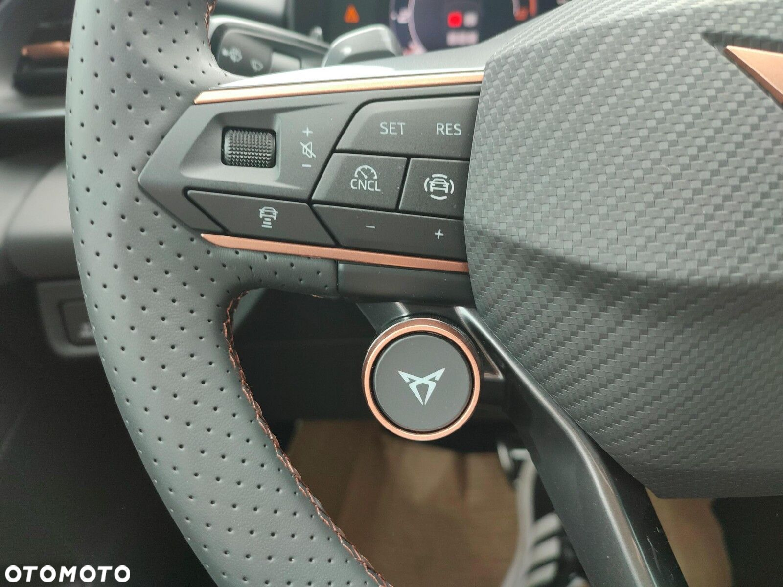Cupra Terramar - 25