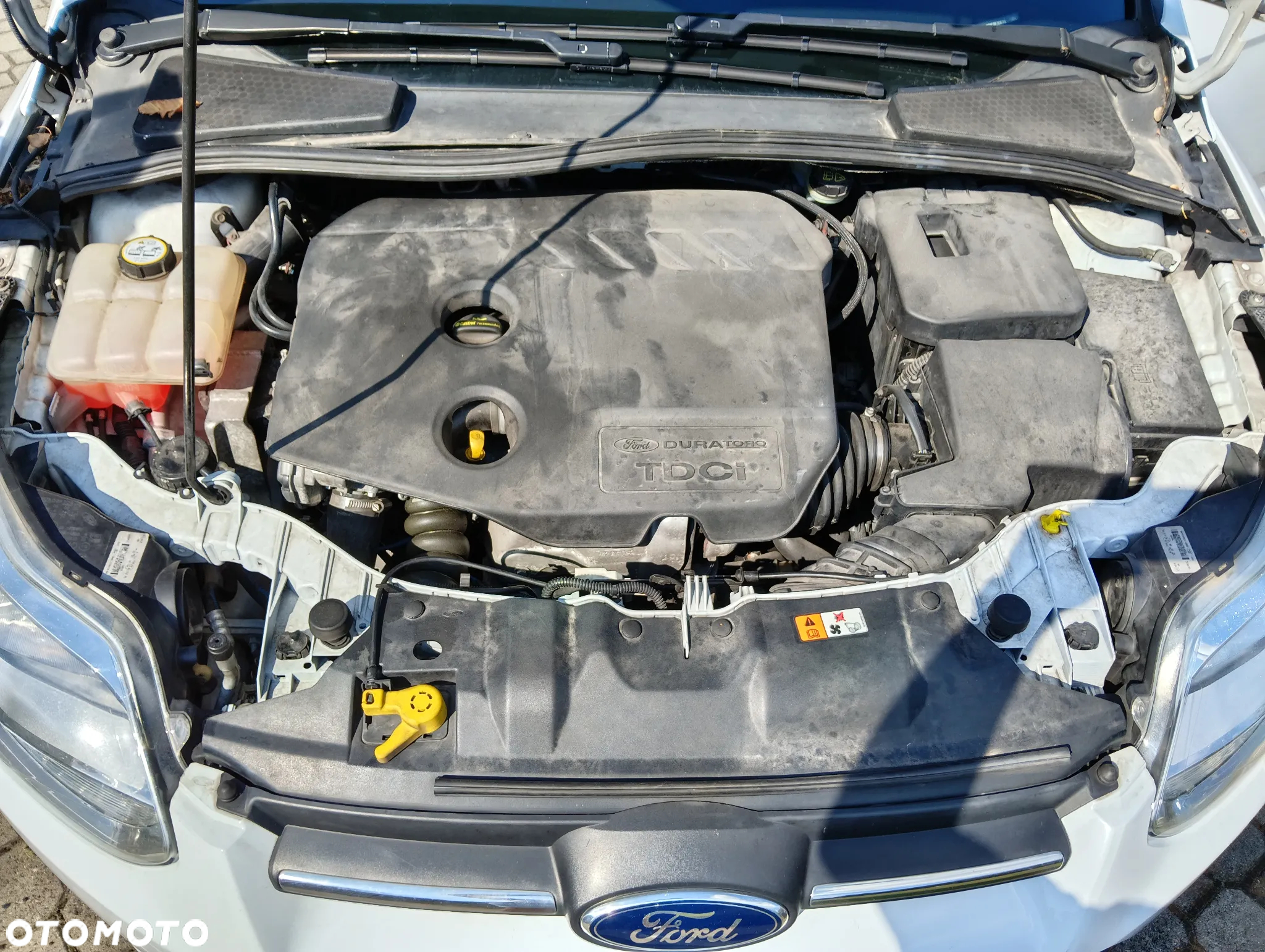 Ford Focus - 11