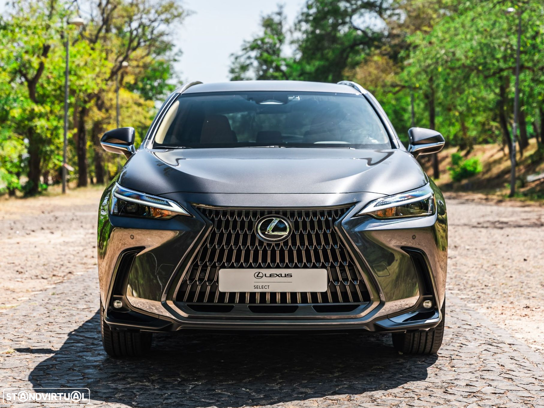 Lexus NX 450h+ - 5