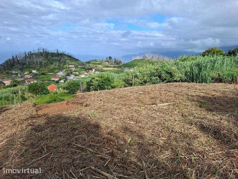 Terreno no Sítio dos Lamaceiros- Porto Moniz (Madeira) - Grande imagem: 4/12