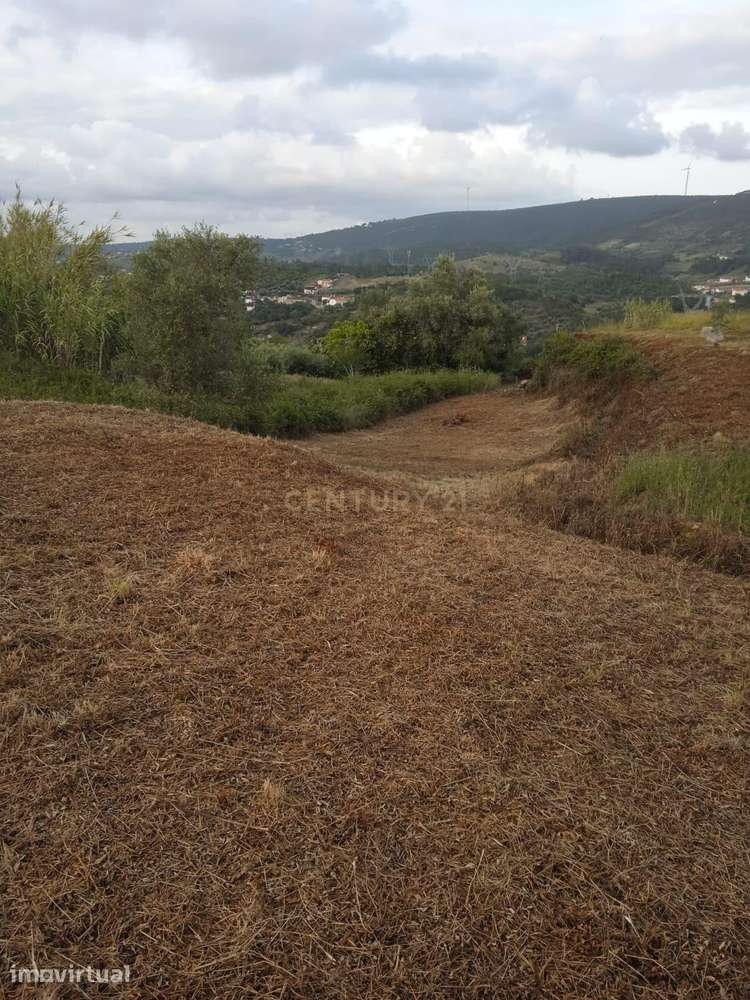 Terreno na Batalha | 1300m2 - Grande imagem: 2/3