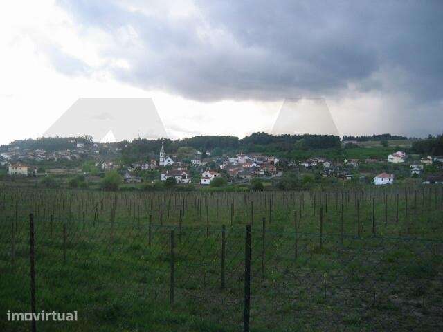 Terreno 4289,8 m2 com ruína em Sabugosa-Tondela - Grande imagem: 2/2