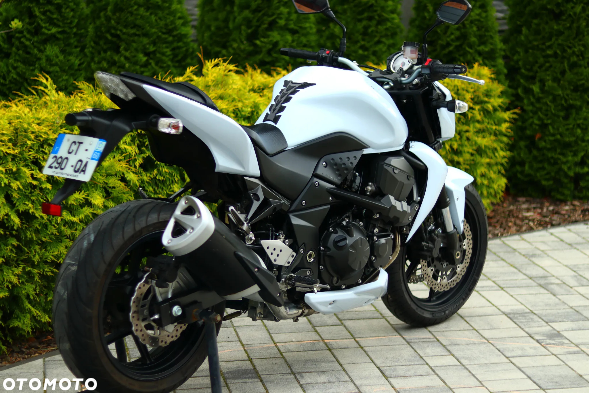 Kawasaki Z - 5