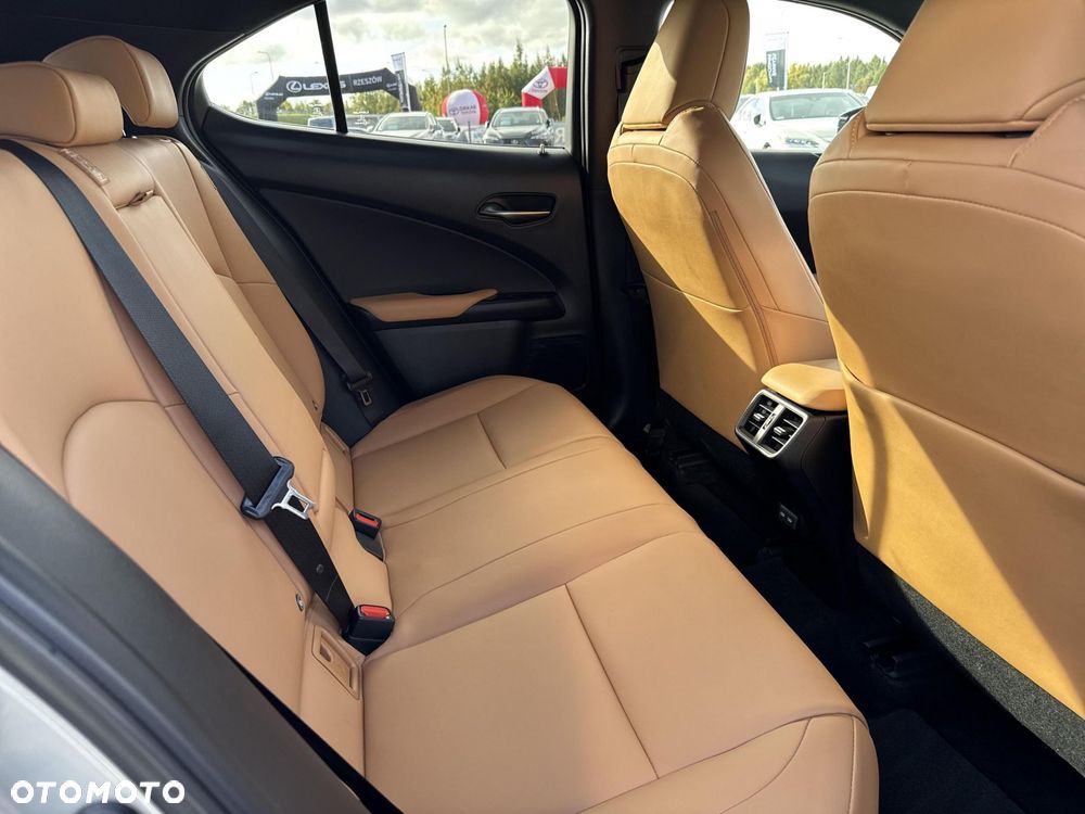 Lexus UX 250h GPF F Sport Design 2WD - 10
