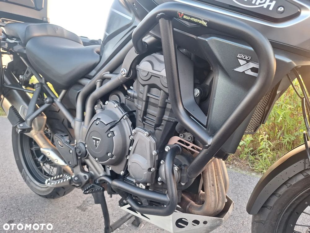 Triumph Tiger - 9