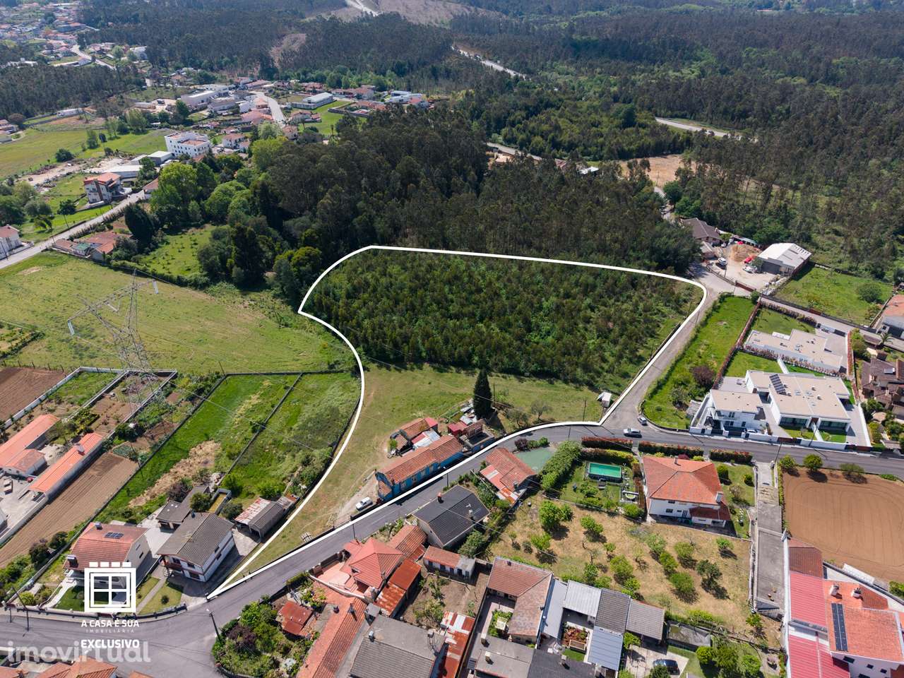 Quinta com cerca de 11.000 m² em Milheirós de Poiares - Exclusivo - Grande imagem: 3/14