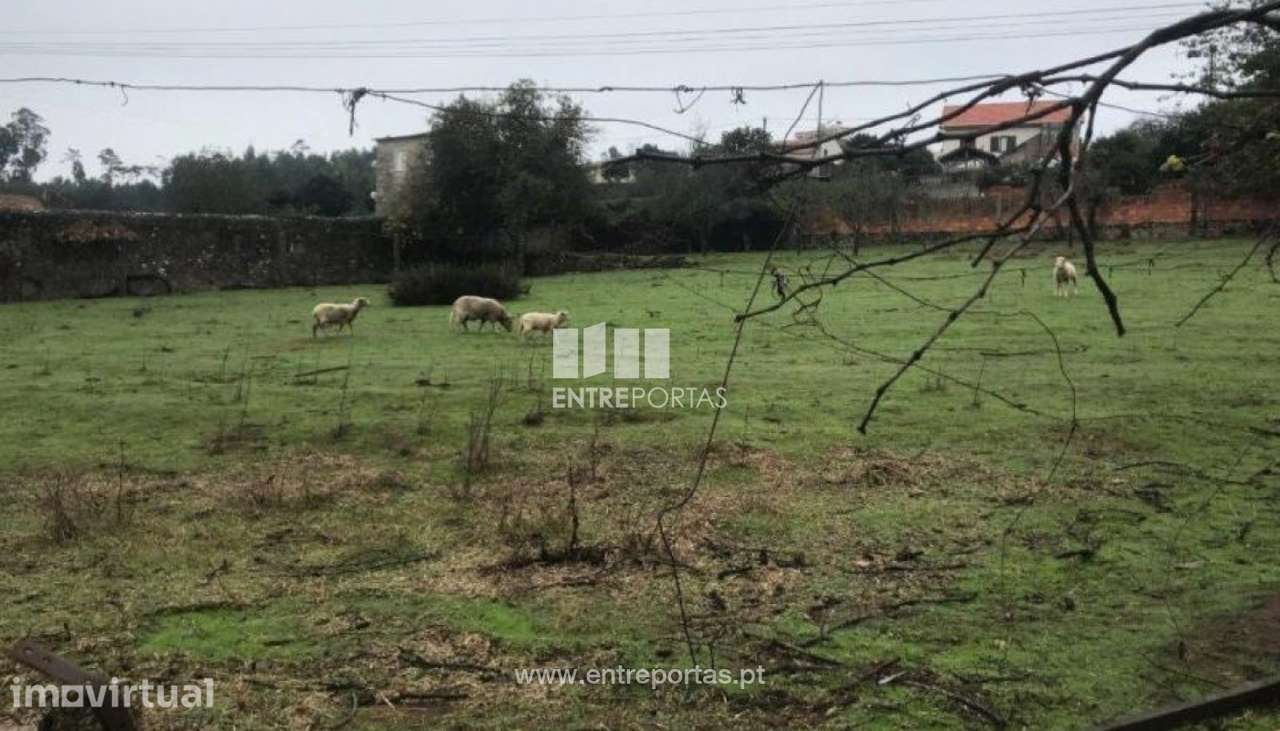 Venda de Terreno com 1840 m2, Terroso, Póvoa de Varzim - Grande imagem: 2/3