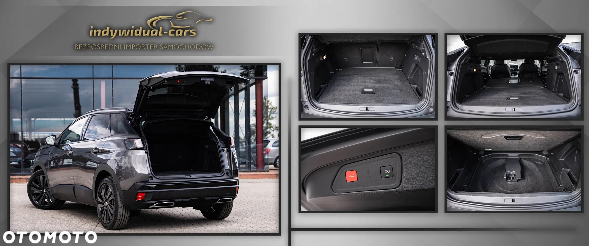 Peugeot 3008 1.5 BlueHDi GT Pack S&S EAT8 - 21