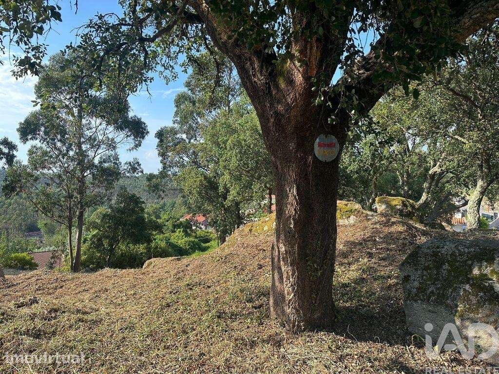 Terreno para construção em Vila de Punhe - Grande imagem: 4/37