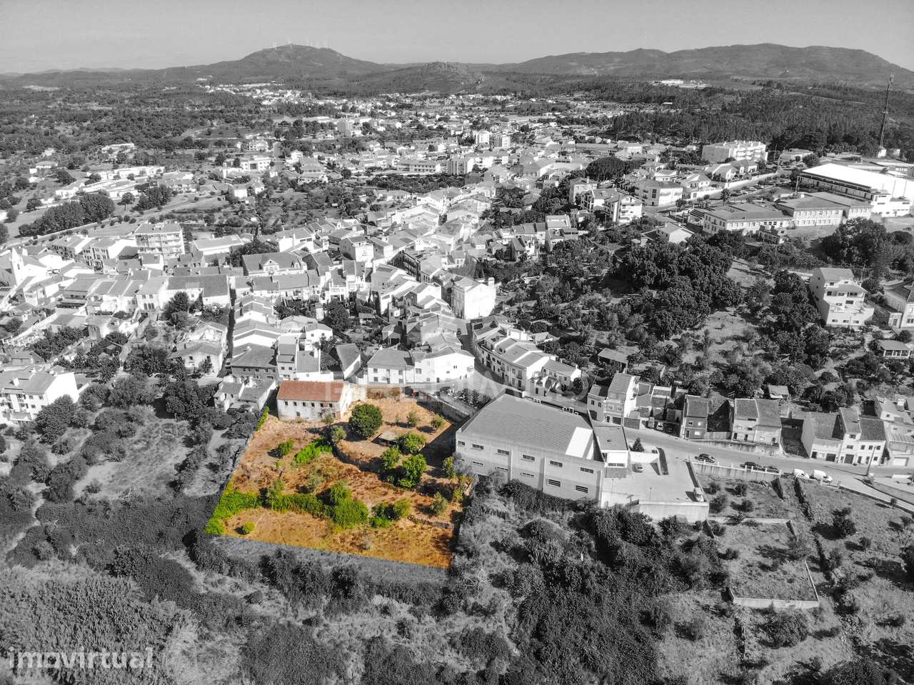 Terreno - Área Total de 3.600 m² - Mação - Grande imagem: 5/12
