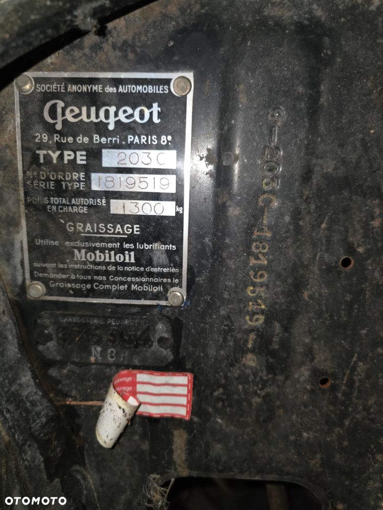 Peugeot Inny - 12