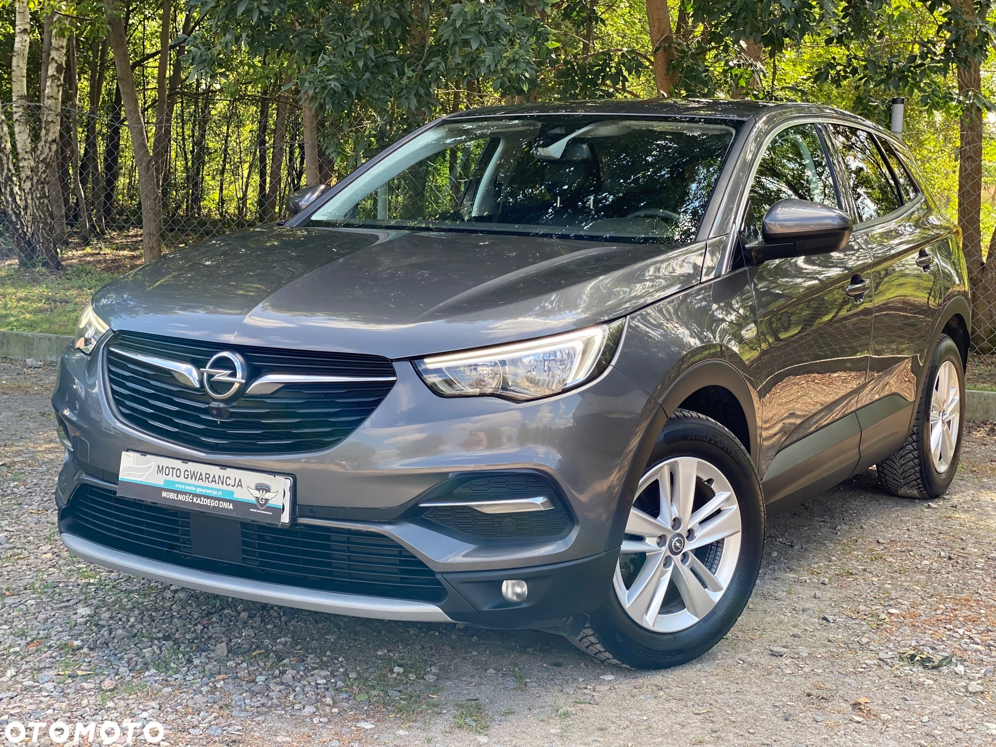 Opel Grandland X 1.6 CDTI Innovation S&S - 38