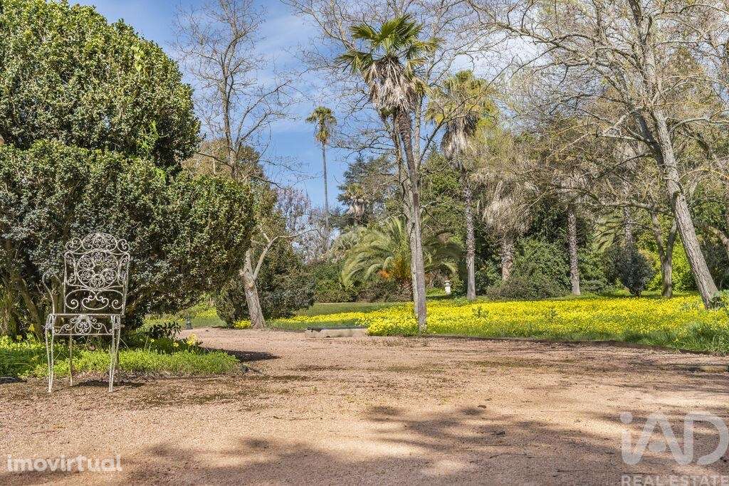 Quinta T10 em Assunção, Ajuda, Salvador e Santo Ildefonso de 1915,00 m - Grande imagem: 5/30