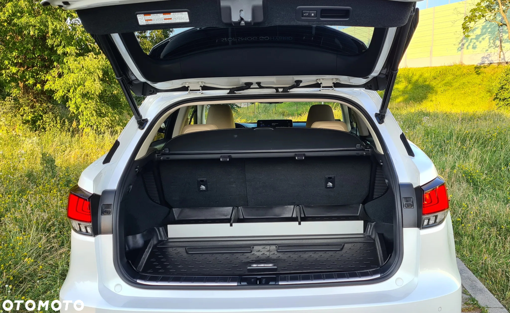 Lexus RX 450h F-Impression - 7