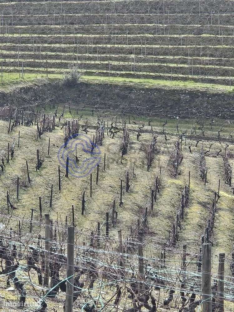 Venda Terreno - Grande imagem: 2/27