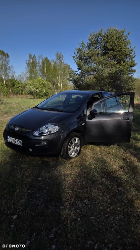 Fiat Punto - 1