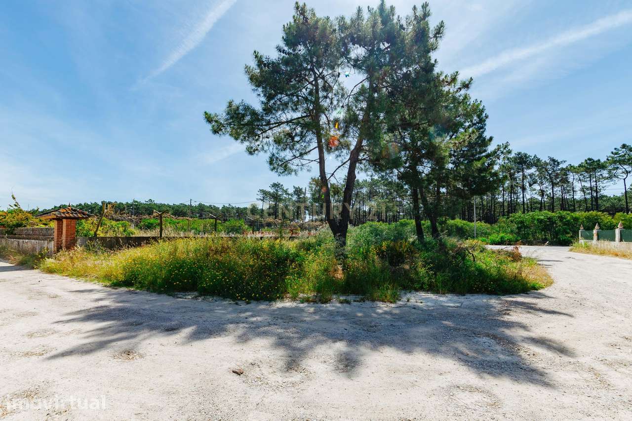Terreno Urbano na Charneca de Caparica | Pinhal da Aroeira - Grande imagem: 4/13