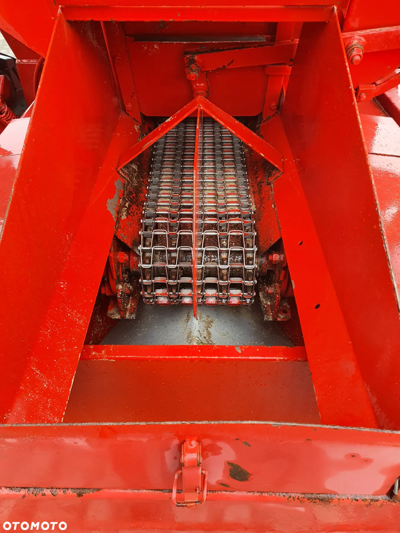 Amazone Cambra - 4