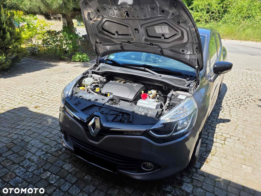 Renault Clio - 14