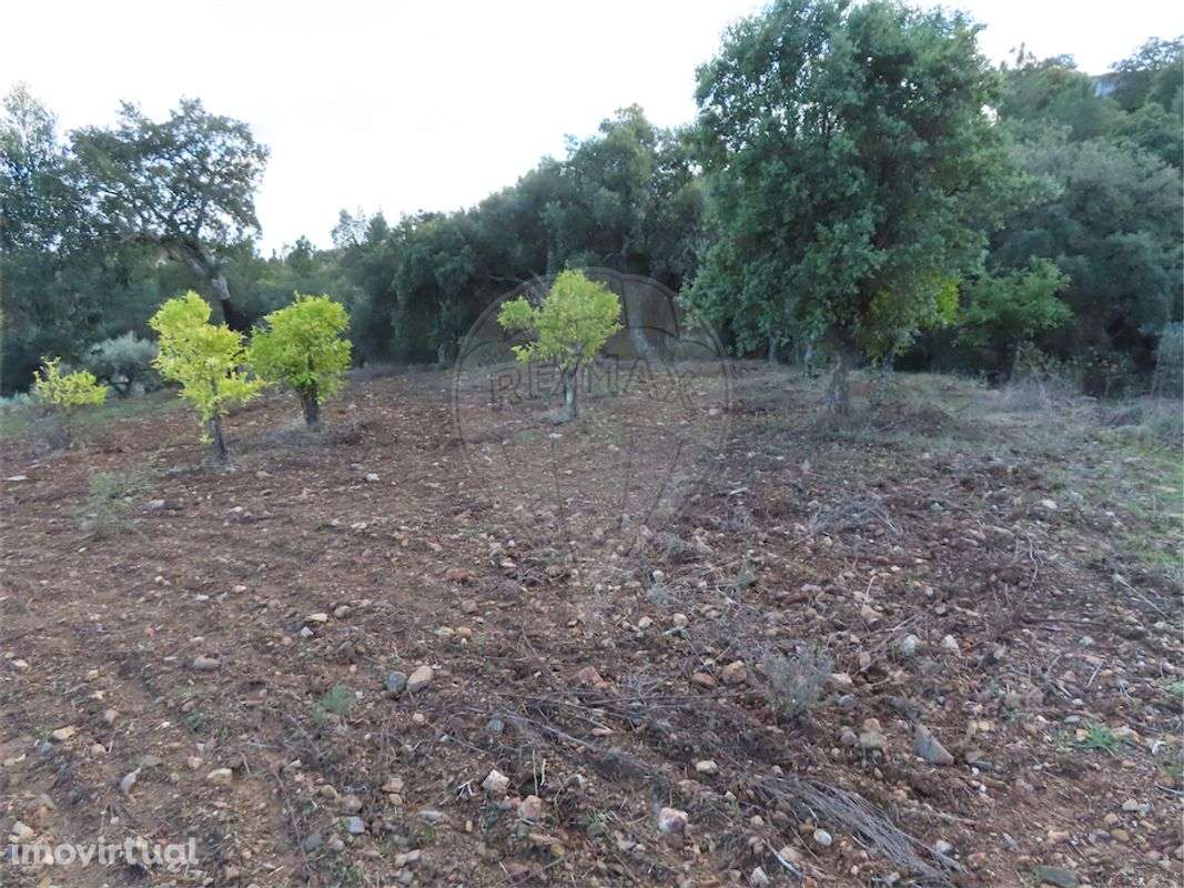 Quinta  para venda - Grande imagem: 3/23