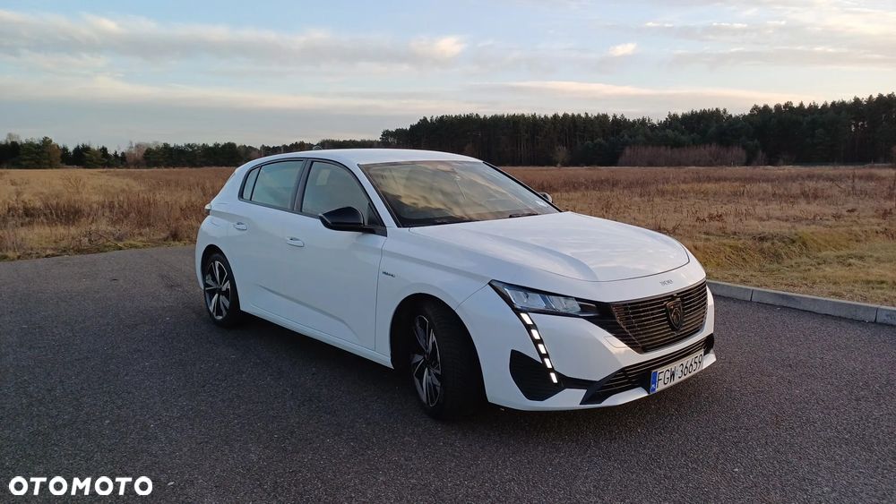 Peugeot 308 1.6 Hybrid PHEV Active Pack EAT8 - 16