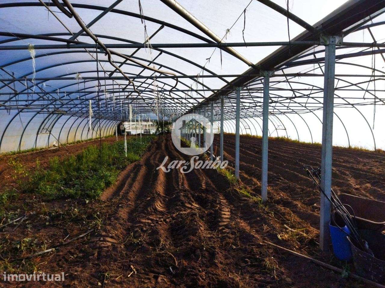 Terreno agrícola em Navais com 1.900m2, na Póvoa de Varzim - Grande imagem: 4/5