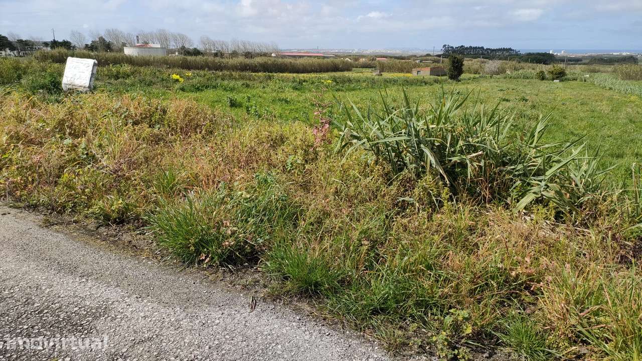Terreno para construção com 2.488m2 - Casais Brancos, Peniche - Grande imagem: 3/15