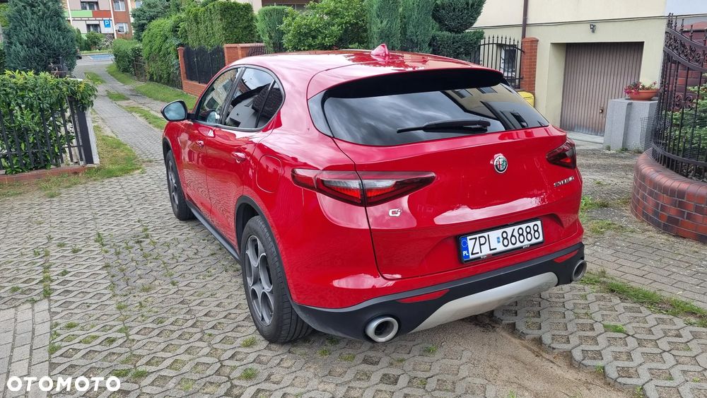 Alfa Romeo Stelvio 2.0 Turbo Q4 - 5