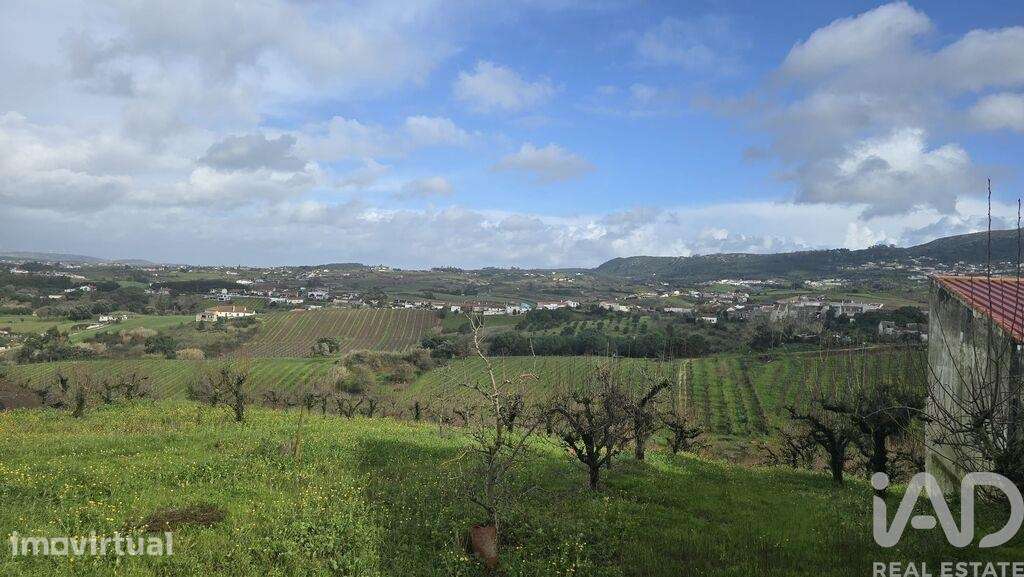 Terreno em Vilar - Grande imagem: 4/9