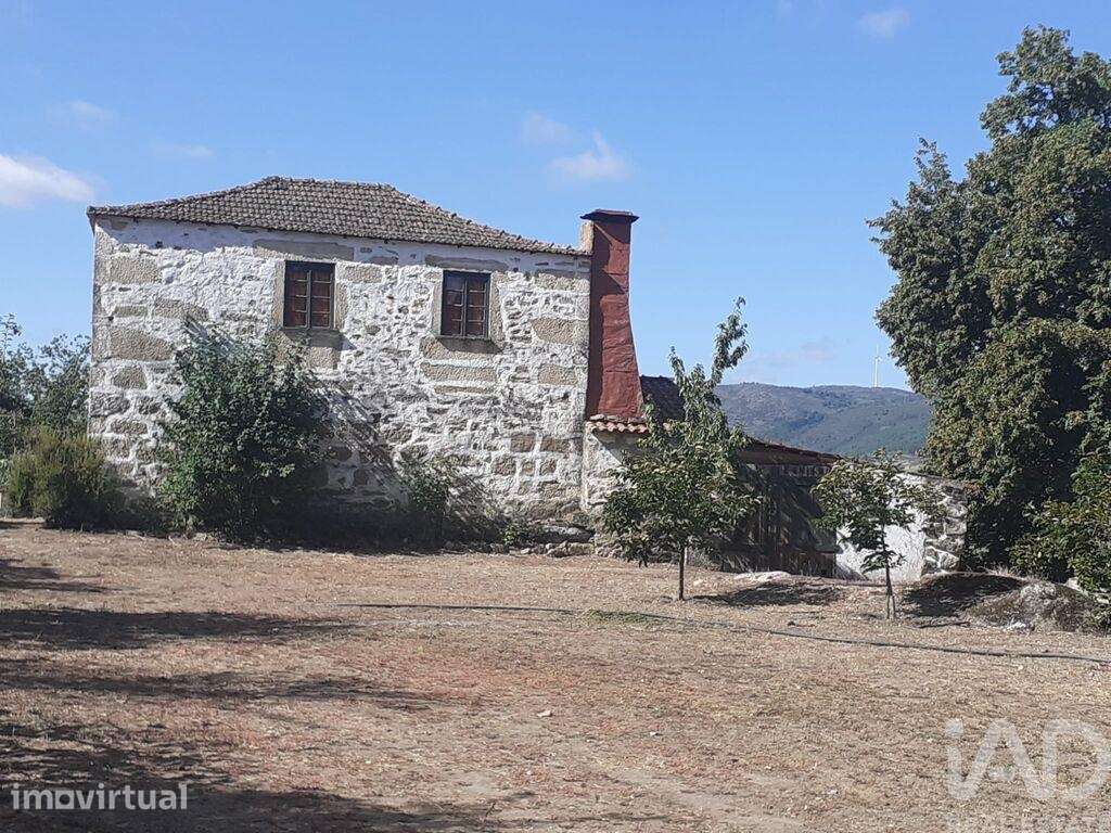 Quinta rural T4 em Longa de 99999 m2 - Grande imagem: 2/40