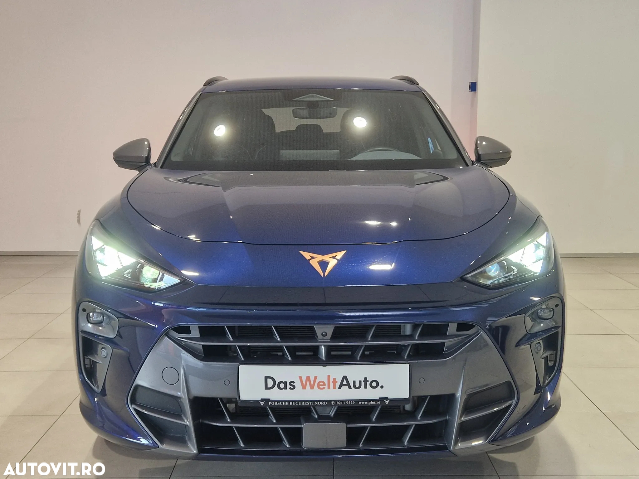Cupra Terramar - 4