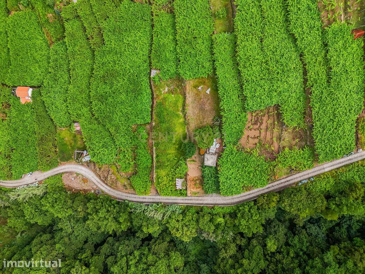 Terreno para Construção com Projeto Residencial à Venda - Grande imagem: 5/17