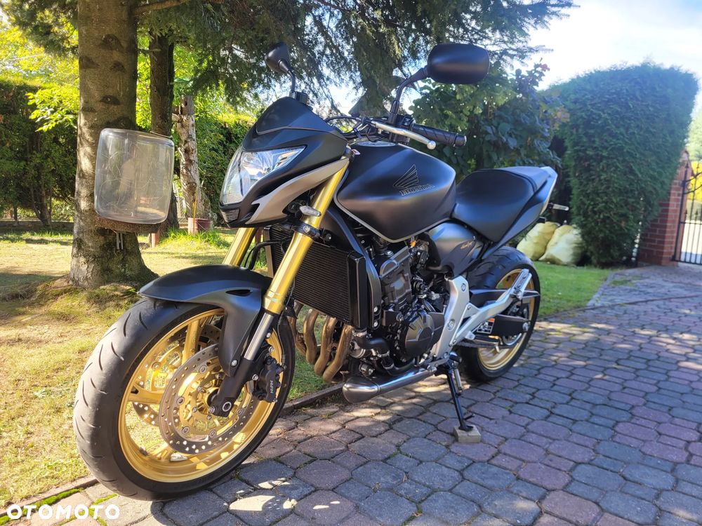 Honda Hornet - 19