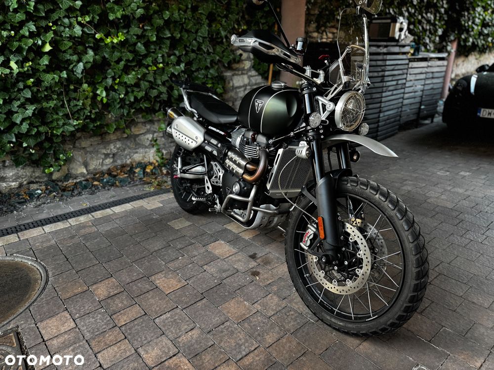 Triumph Scrambler - 15