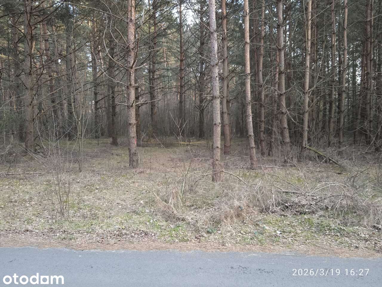 Śliczna działka budowlana z bezpośrednim dostępem do rzeki Warty!!! - Pełny obrazek: 3/9