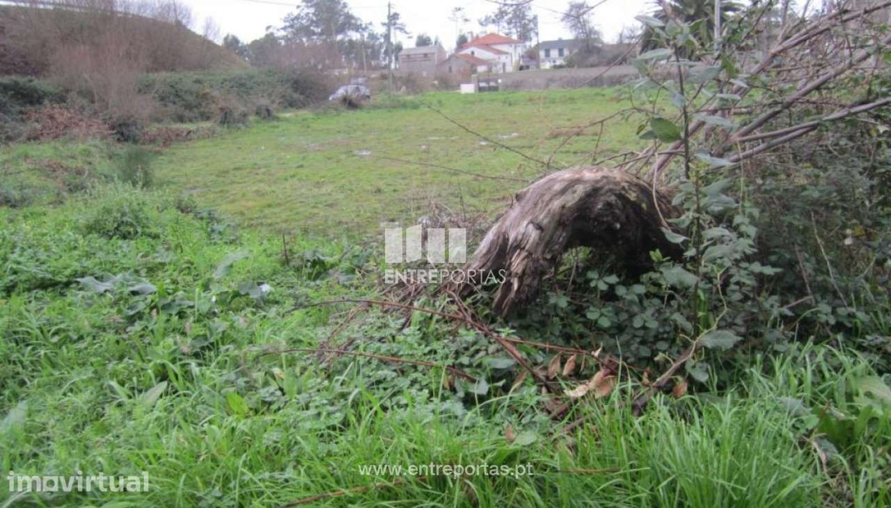 Venda de Terreno agrícola, em Navais, Póvoa de Varzim - Grande imagem: 3/8